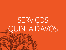 bt_serviços